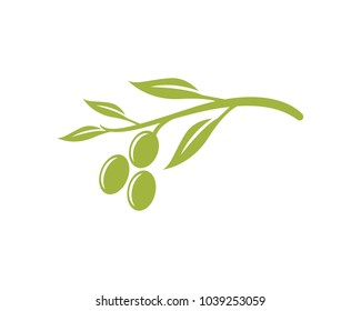 olive logo template vector design