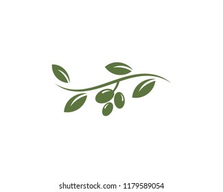 olive logo template vector design