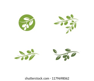 diseño vectorial del logotipo de oliva