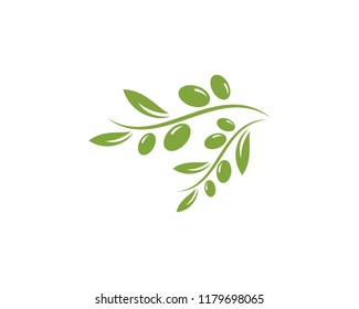 olive logo template vector design