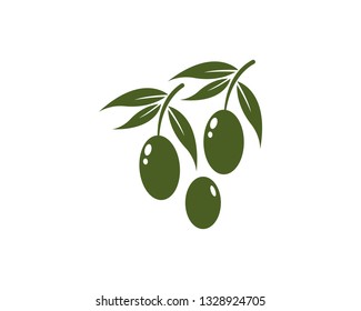 olive logo template vector design - Vector