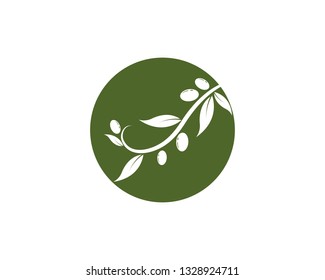 olive logo template vector design - Vector