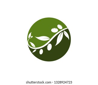 olive logo template vector design - Vector