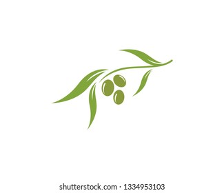 olive logo template vector design