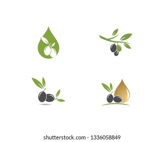 olive logo template vector design