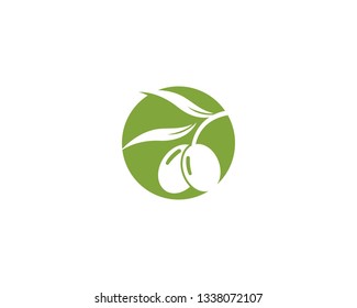 olive logo template vector design