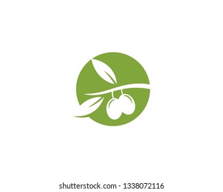 olive logo template vector design