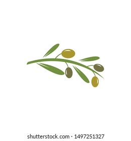 olive logo template vector design