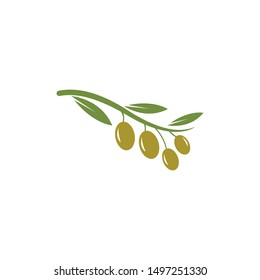 olive logo template vector design