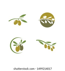 olive logo template vector design