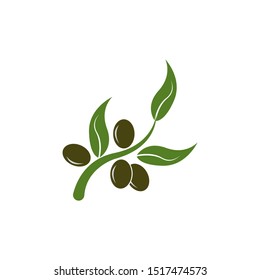 olive logo template vector design
