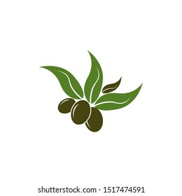 olive logo template vector design

