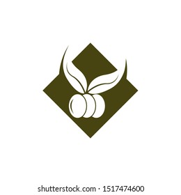 olive logo template vector design
