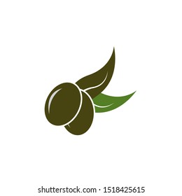 olive logo template vector design
