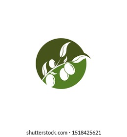 olive logo template vector design
