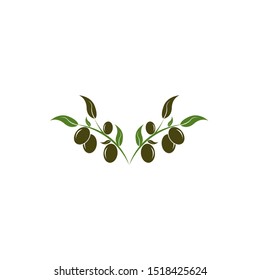 olive logo template vector design
