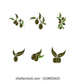 olive logo template vector design
