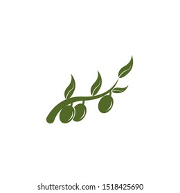 olive logo template vector design
