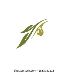 Olive Logo Template Vector Design