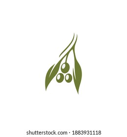 olive logo template vector design