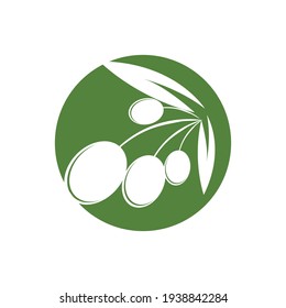 olive logo template vector design