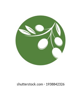 olive logo template vector design