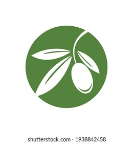olive logo template vector design