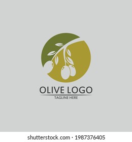 olive logo template vector design