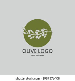 olive logo template vector design