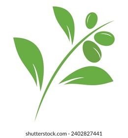 olive logo template vector design