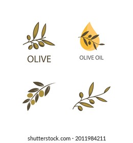 Diseño plano vectorial de la plantilla del logotipo Olive