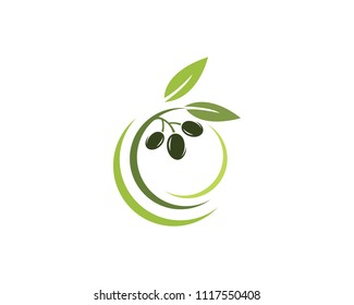 Olive logo template vector icon illustration design