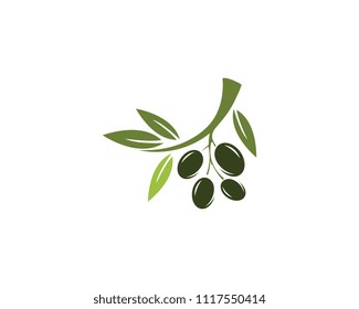 Olive logo template vector icon illustration design