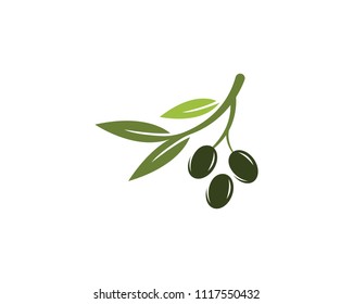 Olive logo template vector icon illustration design