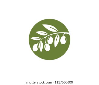 Olive logo template vector icon illustration design