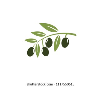 Olive logo template vector icon illustration design