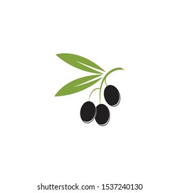Olive logo template vector icon illustration design