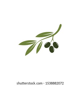 Olive logo template vector icon illustration design