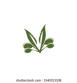 Olive logo template vector icon illustration design