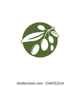 Olive logo template vector icon illustration design
