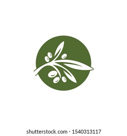 Olive logo template vector icon illustration design