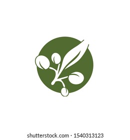 Olive logo template vector icon illustration design