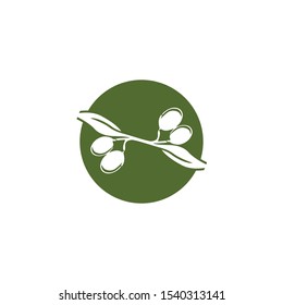 Olive logo template vector icon illustration design