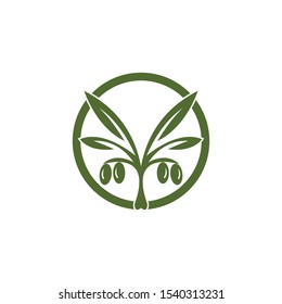 Olive logo template vector icon illustration design