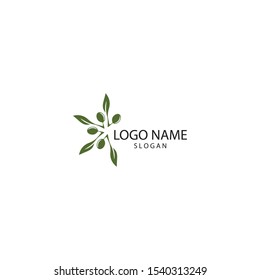 Olive logo template vector icon illustration design