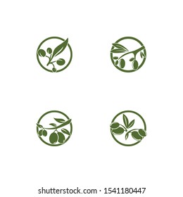 Olive logo template vector icon illustration design