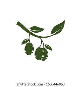Olive logo template vector icon illustration design
