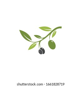 Olive logo template vector icon illustration design