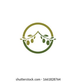 Olive logo template vector icon illustration design