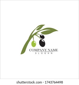 Olive logo template vector icon illustration design